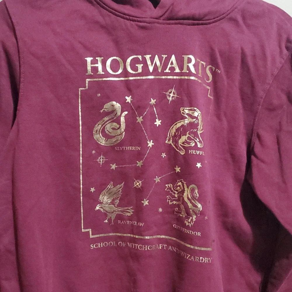 Hogwarts Maroon Hoodie with Gold Accents Size Small - Picture 2 of 5